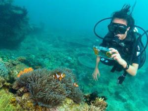 Discovery Scuba Dive DSD