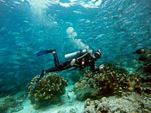 Dive & Snorkeling on Sipadan Island